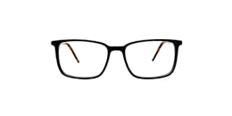 Clearly Glasses BIRCH