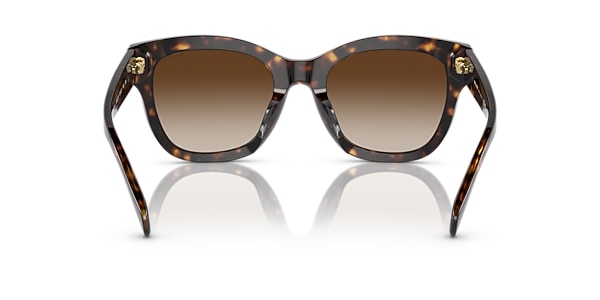 Ralph Sunglasses RA5301U