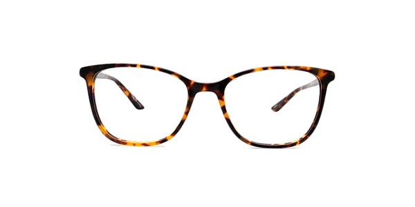 Clearly Glasses MADELYN