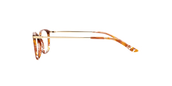 Clearly Glasses VERONICA