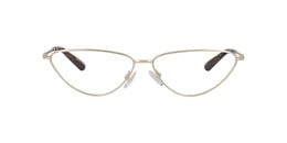 Clearly Glasses SHARP