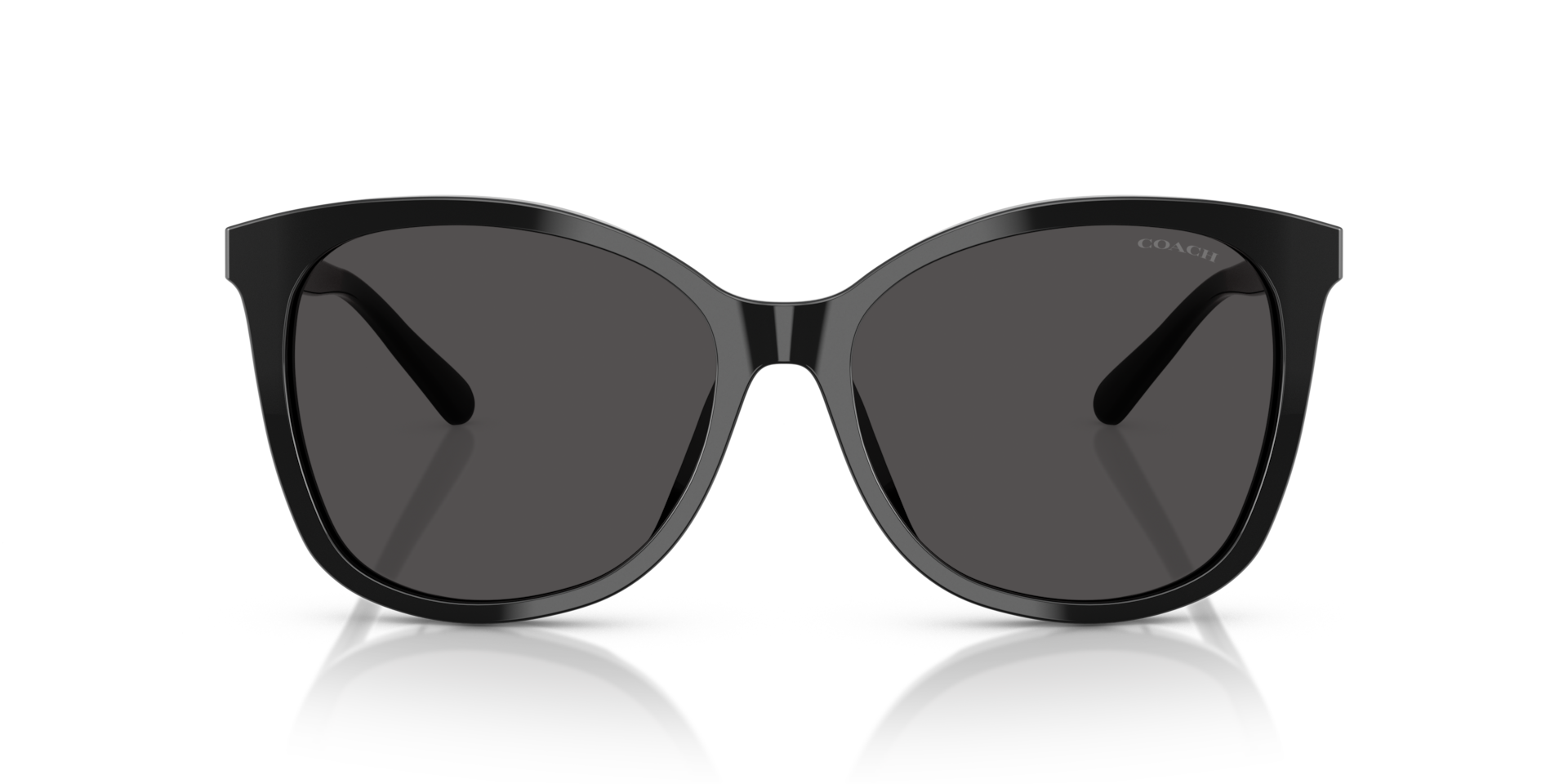 COACH Woman Sunglasses L1101 - Frame color: Black, Lens color: Dark Grey