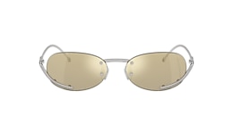 Diesel Sunglasses DL1004