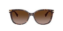 Coach Sunglasses HC8132 L109