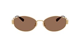 Coach Sunglasses HC7192D CDP44