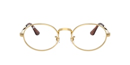 Ray-Ban Glasses RB3931V OPTICS BY A$AP ROCKY