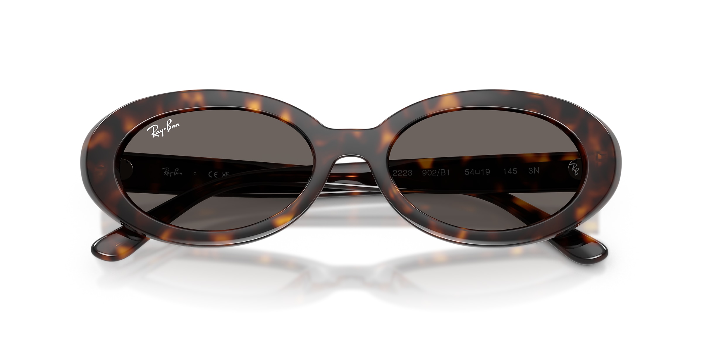 Ray-Ban Sunglasses RB2223