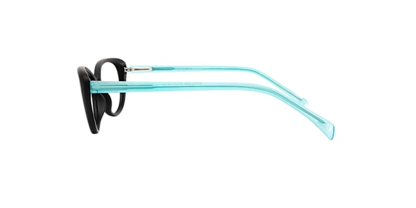 Clearly Glasses SALLUIT