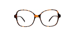 Clearly Glasses IBIS