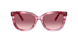 Coach Sunglasses HC8453U CDP53