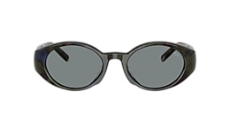 Diesel Sunglasses DL2008U