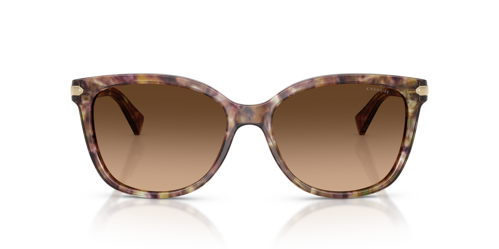 COACH Woman Sunglasses L109 - Frame color: Tortoise, Lens color: Brown Gradient
