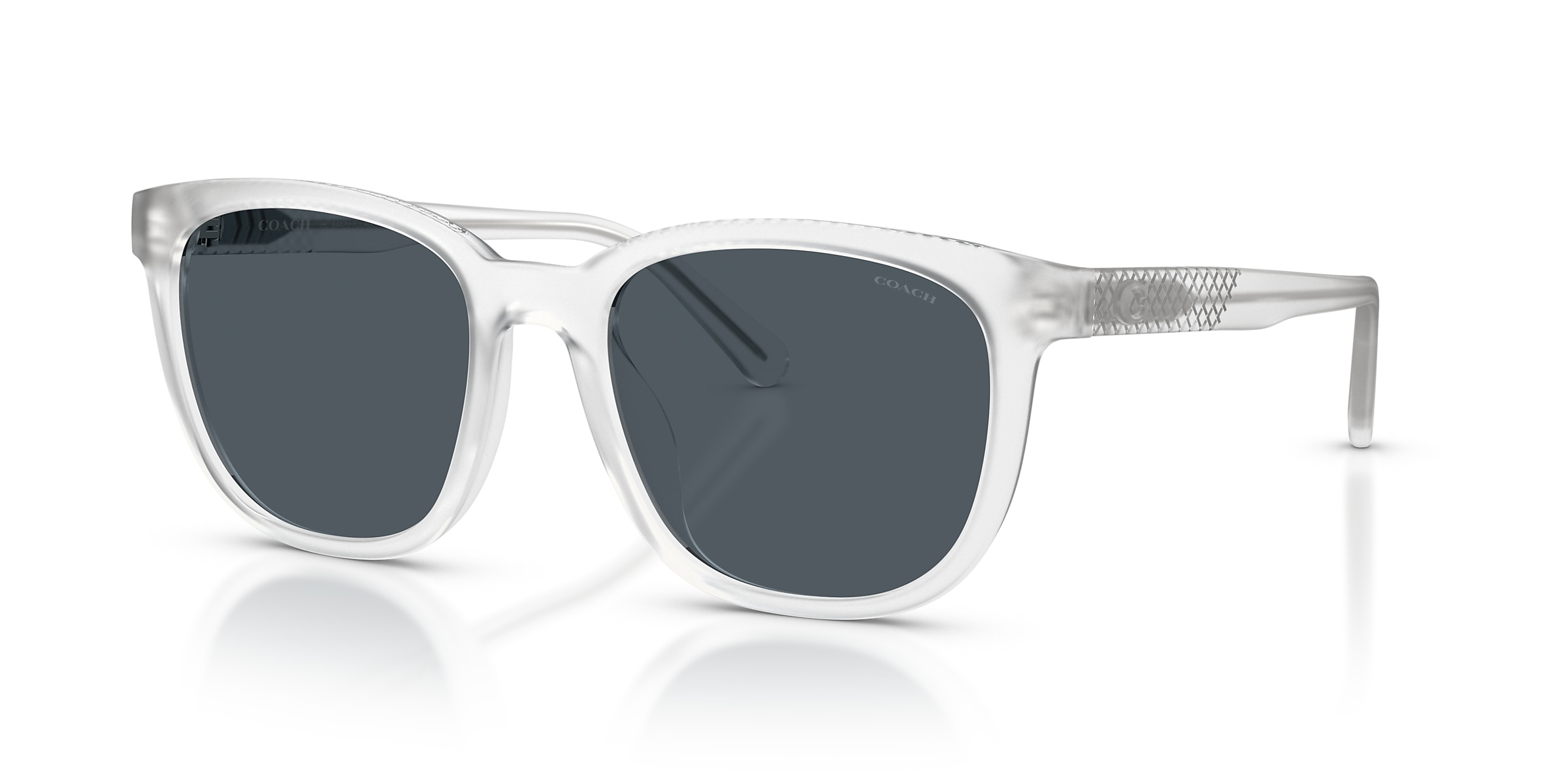 Coach Sunglasses HC8442U CCA00