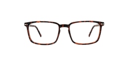 Clearly Glasses CURLEW