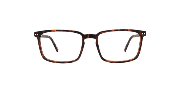 Clearly Glasses CURLEW