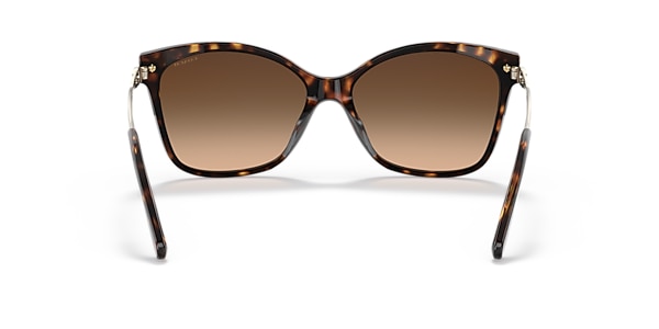 Coach Sunglasses HC8316 C3446