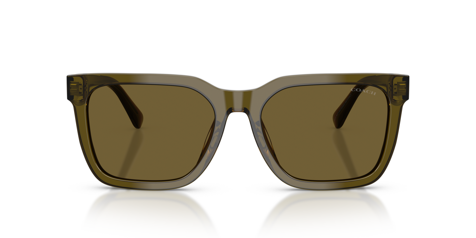 COACH Man Sunglasses CFU12 - Frame color: Transparent Olive, Lens color: Olive Solid