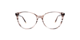 Clearly Glasses SPRUCE