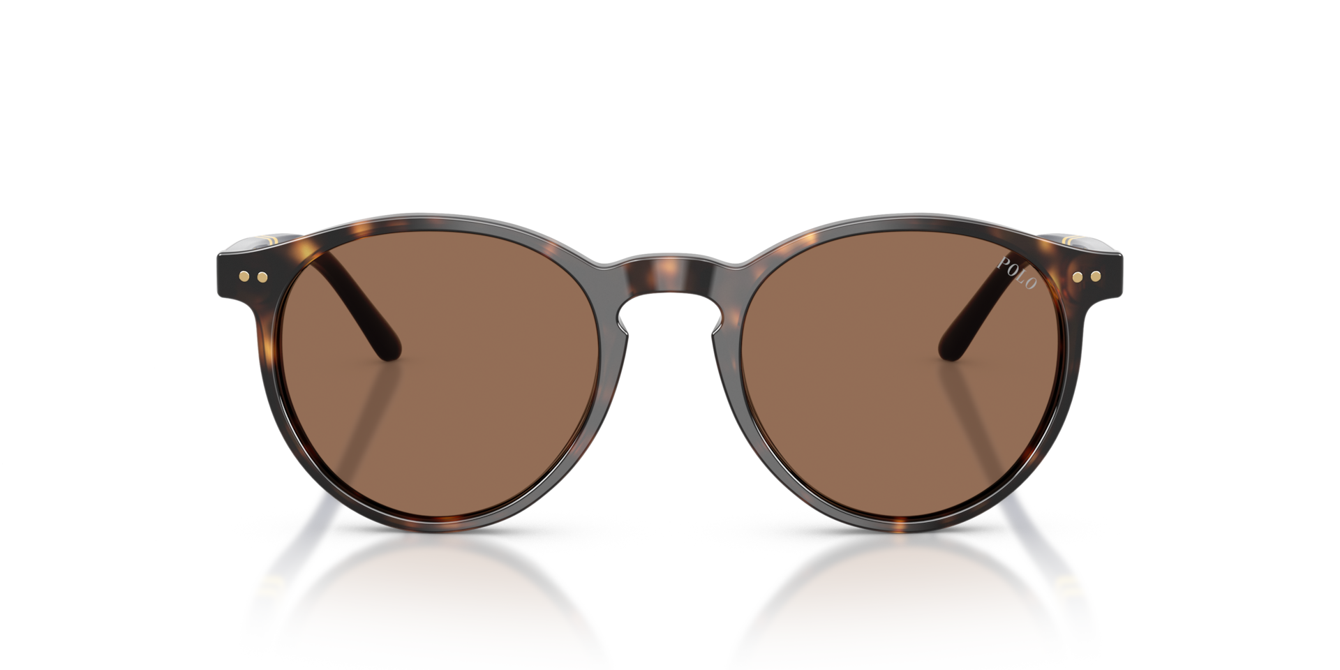 POLO RALPH LAUREN Man Sunglasses PH4236 - Frame color: Shiny Dark Havana, Lens color: Brown