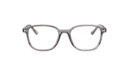 Ray-Ban Glasses RB5393 LEONARD OPTICS