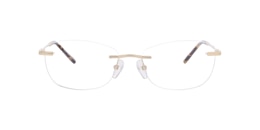 Clearly Glasses DARBY