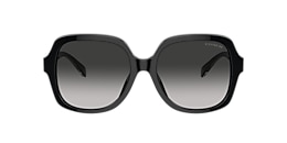 Coach Sunglasses HC8395U CR614