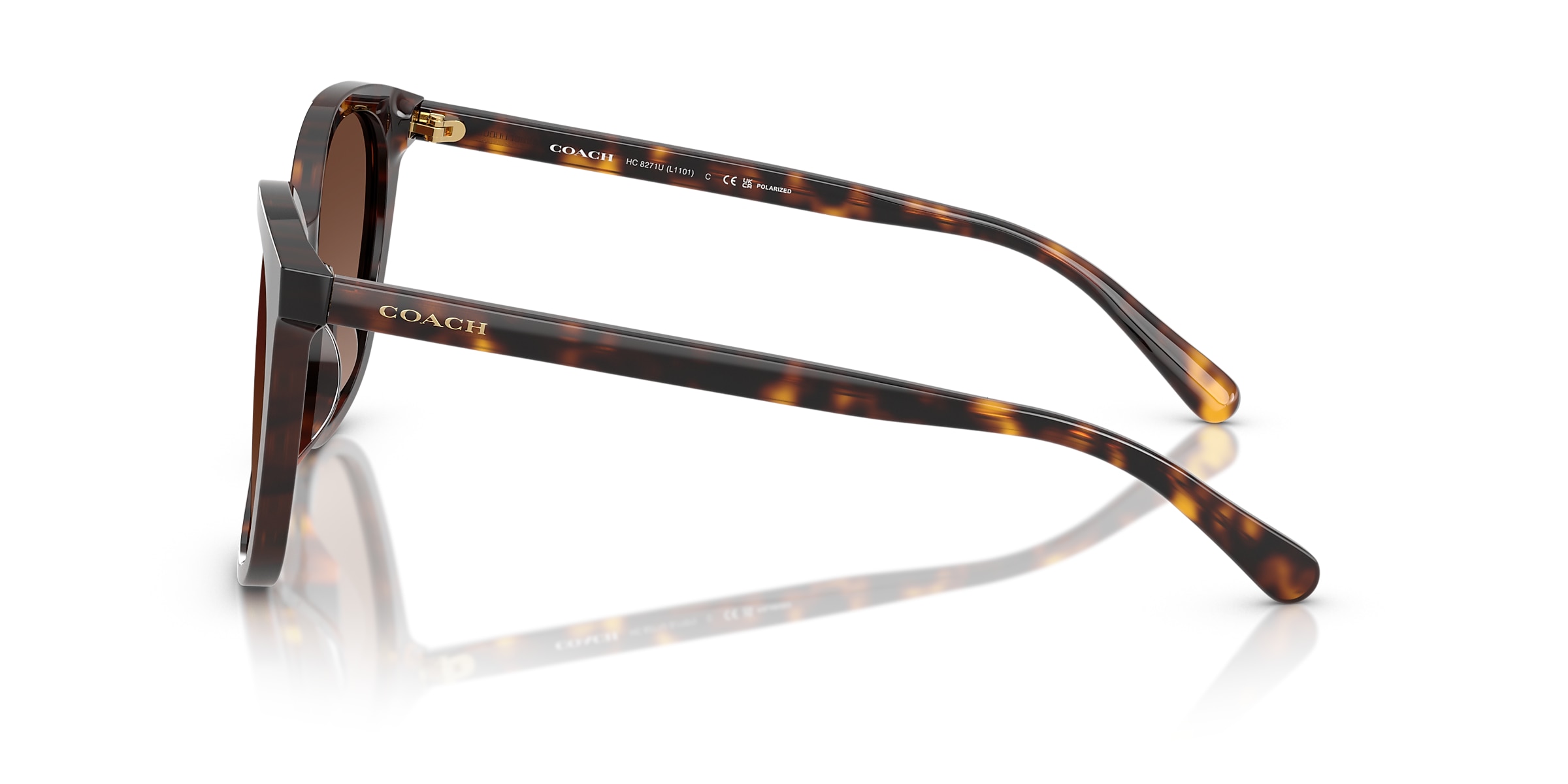 Coach Sunglasses HC8271U L1101