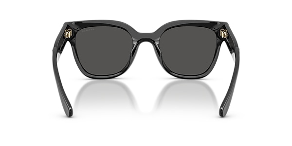 Coach Sunglasses HC8460U CFT88
