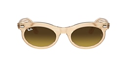 Ray-Ban Sunglasses RB2242 WAYFARER OVAL CHANGE