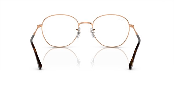 RB6509 OPTICS