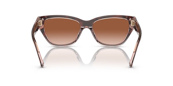 Coach Sunglasses HC8370U CH570