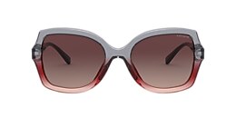 Coach Sunglasses HC8295 L1147