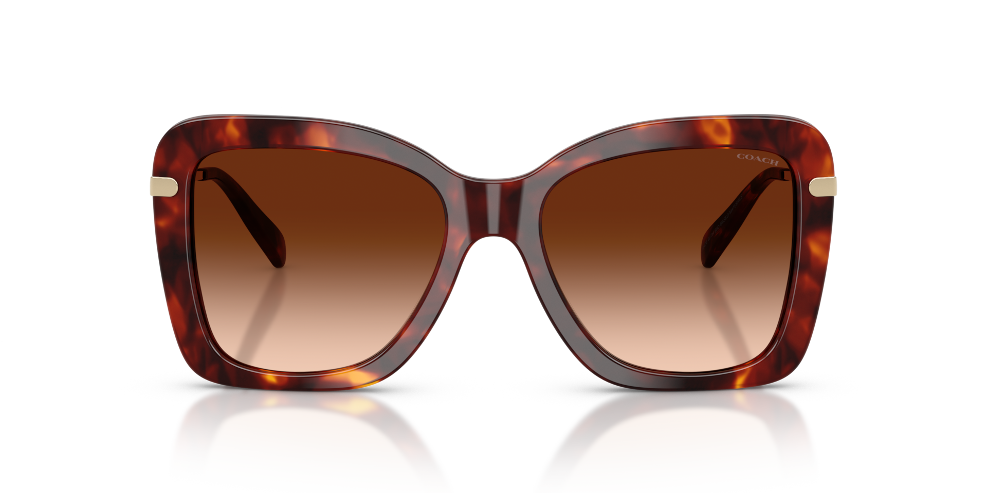 COACH Woman Sunglasses CFU03  -  Frame color: Walnut Tortoise, Lens color: Brown Gradient