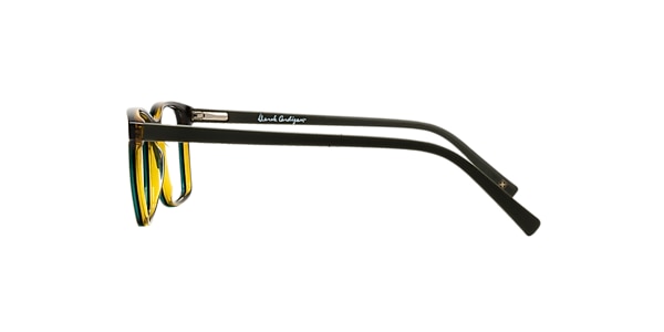 Clearly Glasses REDWOOD