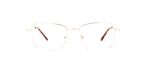 Clearly Glasses MCADAM