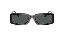 Diesel Sunglasses DL2017U