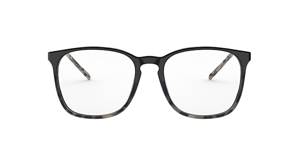 RB5387 OPTICS