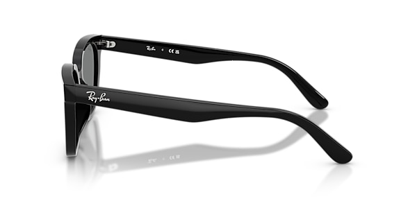 Ray-Ban Sunglasses RB2243D