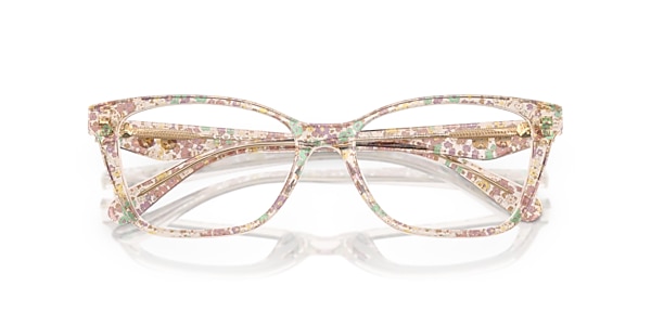 Coach Glasses HC6248U
