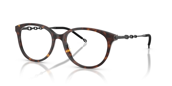 Diesel Glasses DL4007