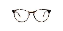Clearly Glasses OAK