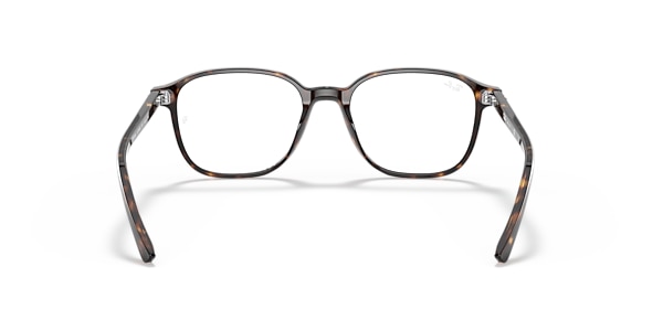 RB5393 LEONARD OPTICS