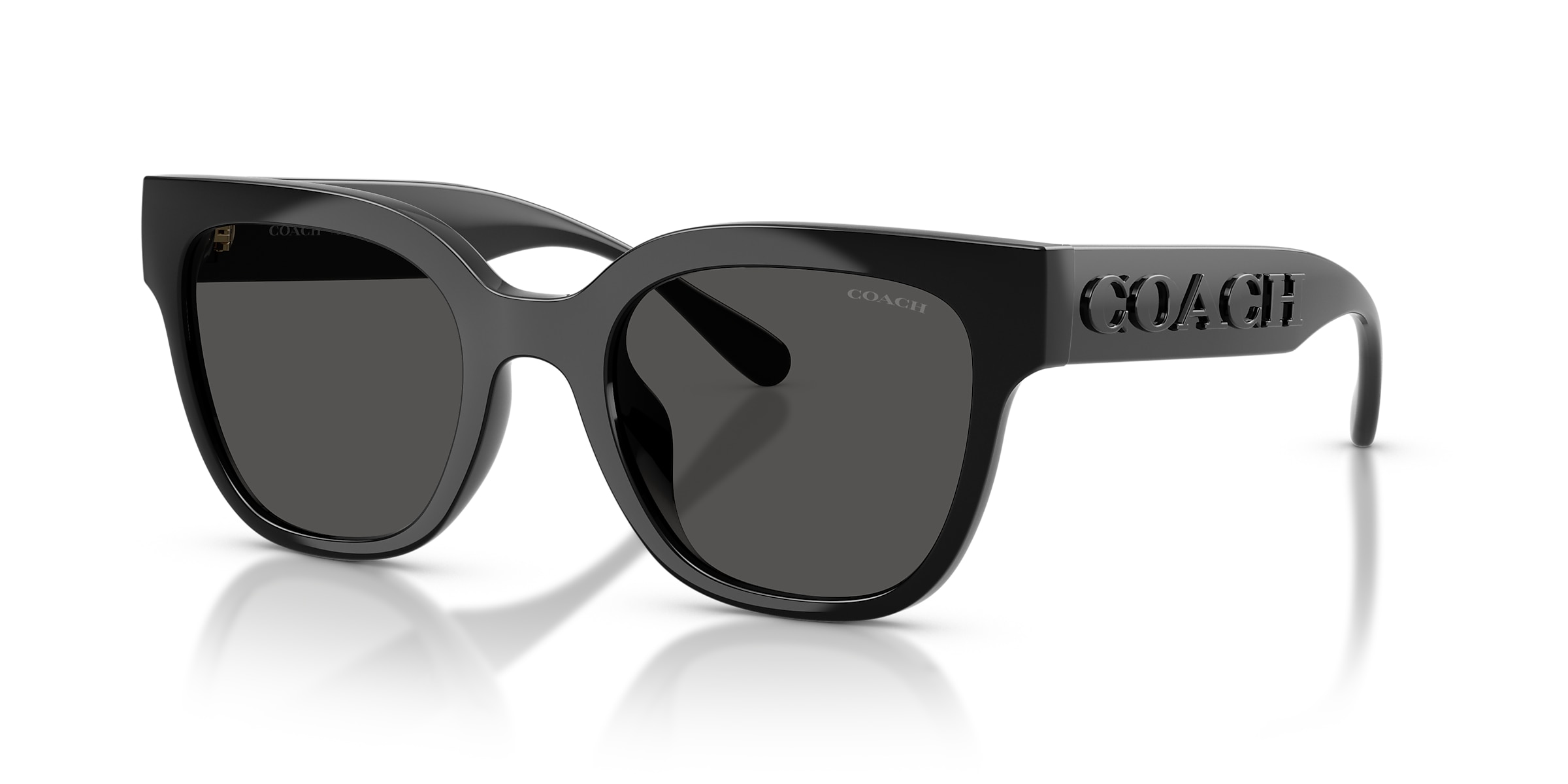 Coach Sunglasses HC8460U CFT88
