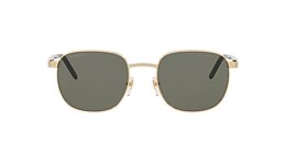 Gucci Sunglasses GG1799S