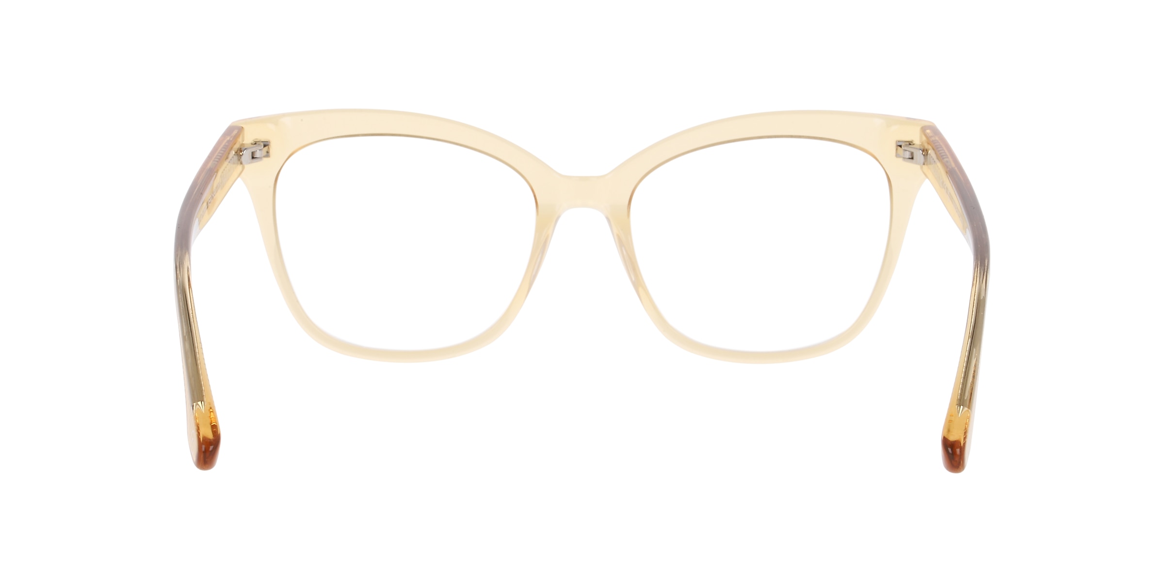Clearly Glasses VERCHER