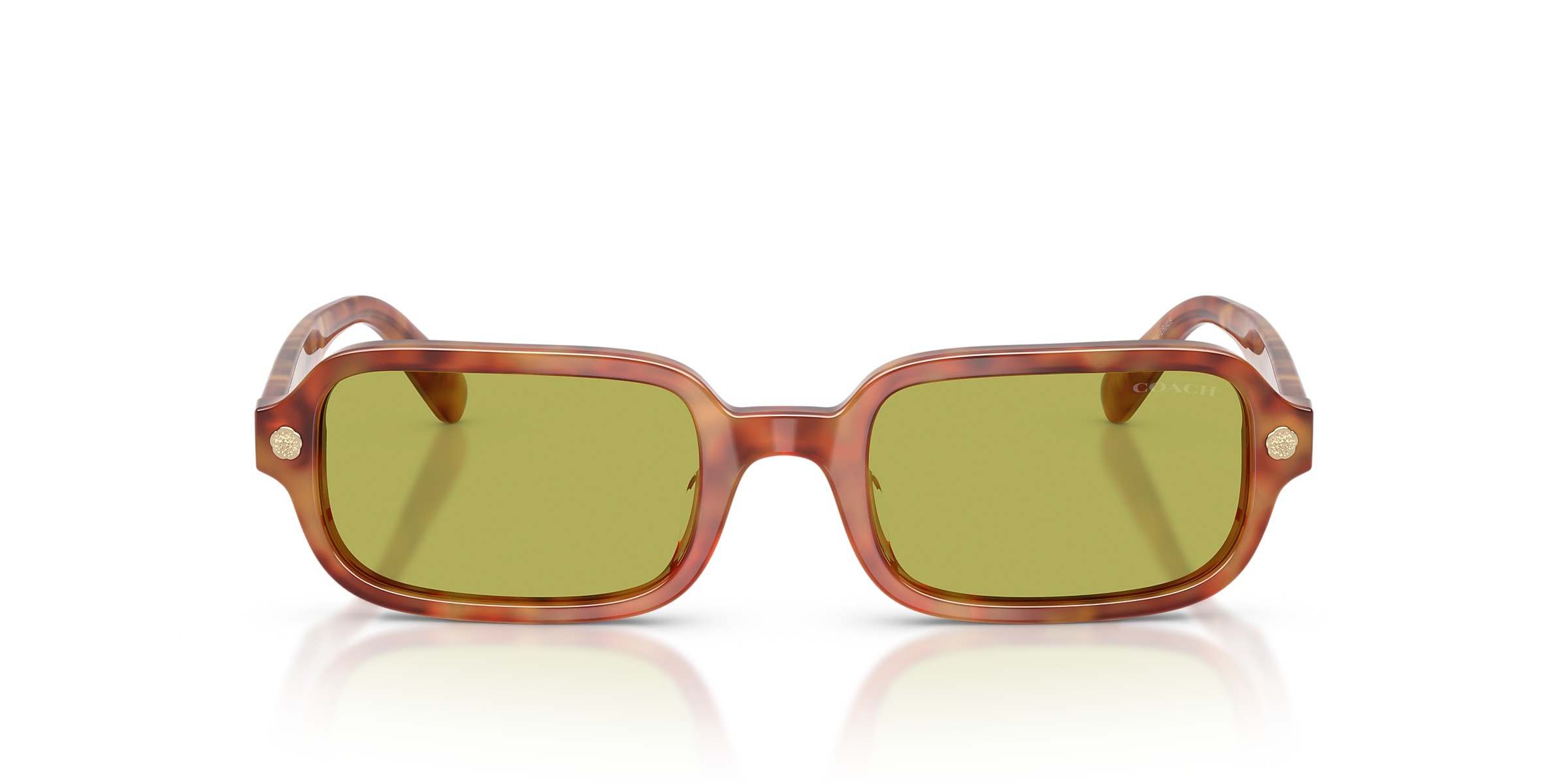 Coach Sunglasses HC8465U CFU11