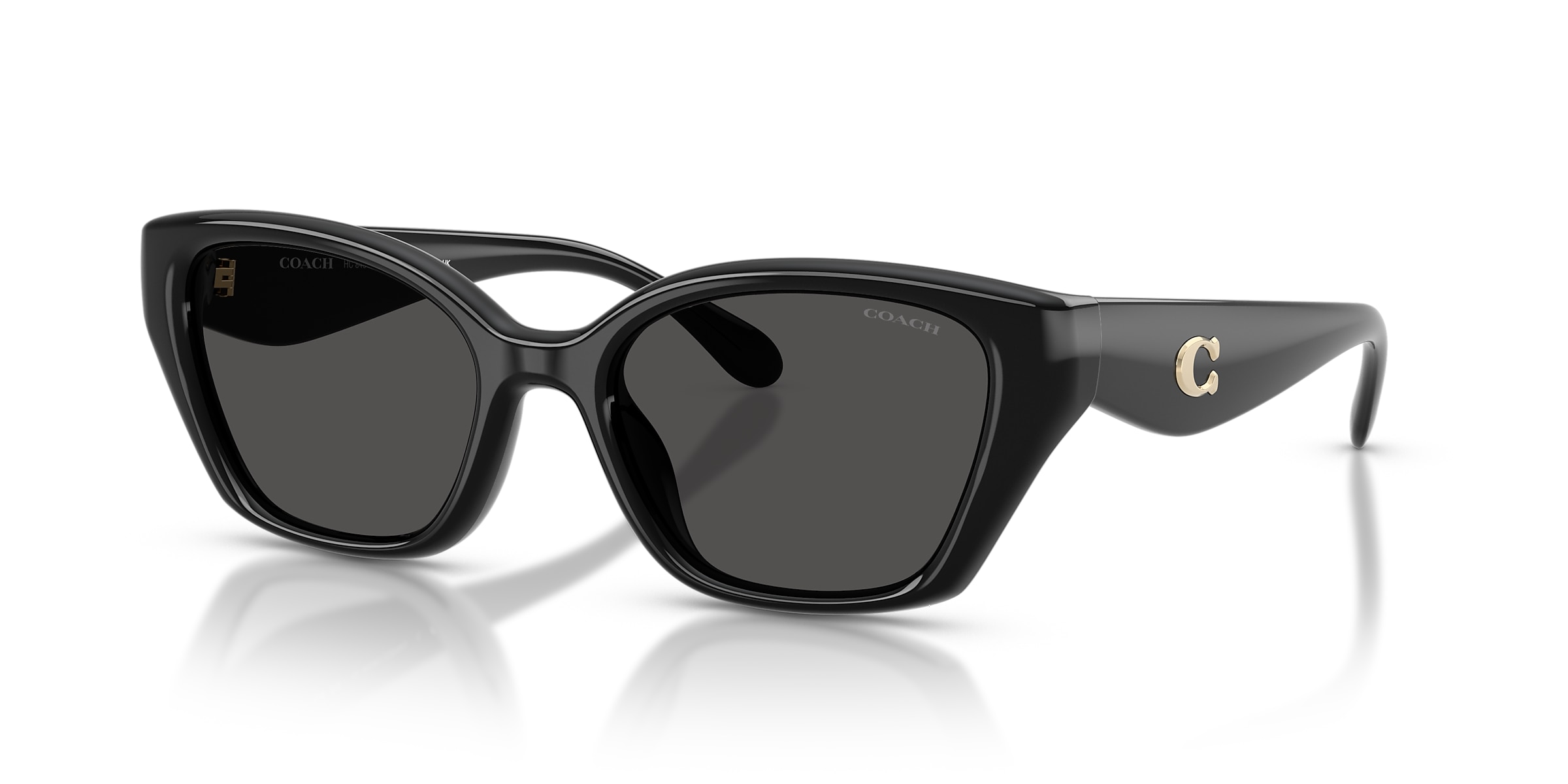 Coach Sunglasses HC8434U CBY91