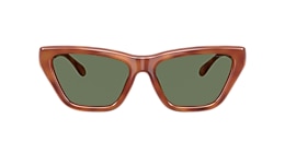 Coach Sunglasses HC8449U CDP33