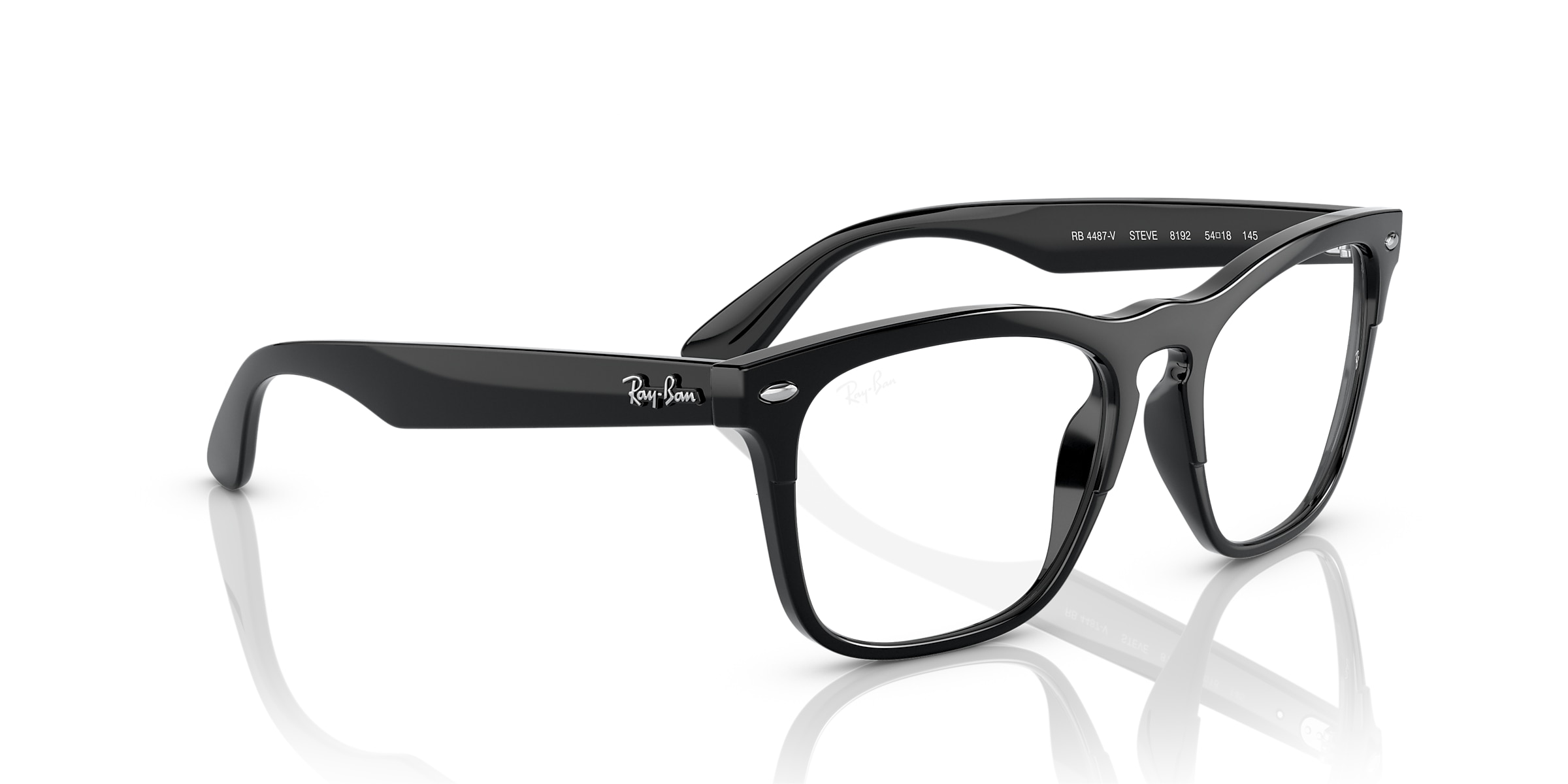 Ray-Ban Glasses RB4487V STEVE OPTICS