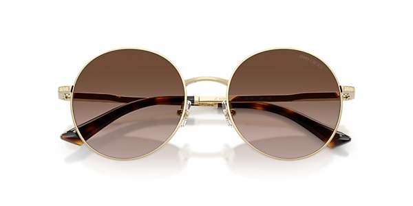 Jimmy Choo Sunglasses JC4028J